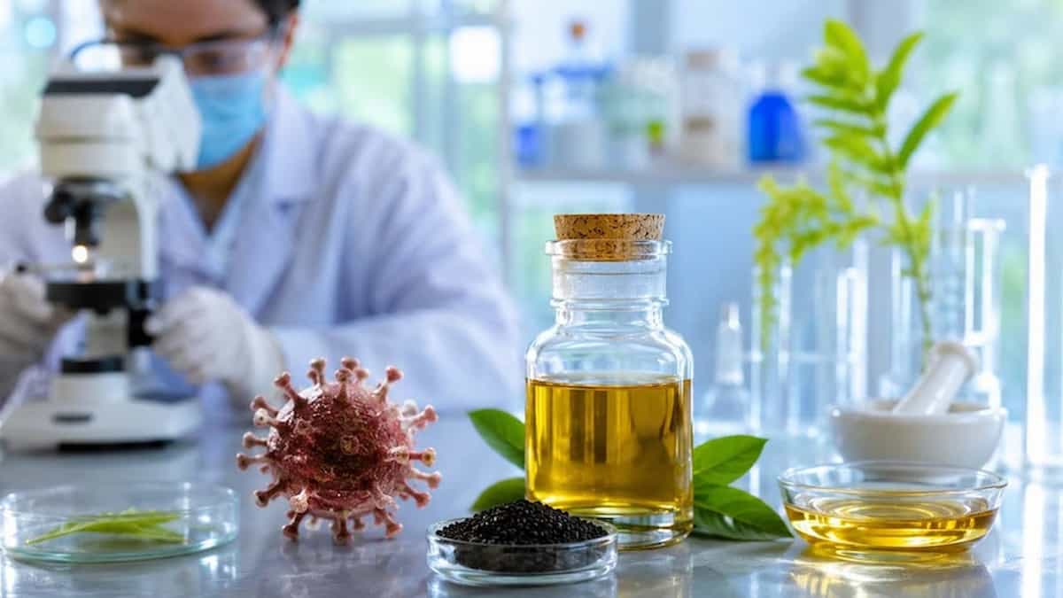 IIT रुड़की की बड़ी उपलब्धि: गौमूत्र से चिकनगुनिया का इलाज! रिसर्च में 99% वायरस को बेअसर करने का दावा