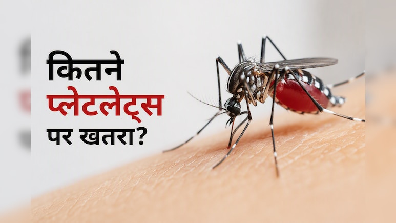 Dengue Alert: डेंगू में प्लेटलेट्स कितने गिरने पर बढ़ता है असली खतरा? डॉक्टर ने चेताया— भूलकर भी न करें ये 3 बड़ी गलतियां