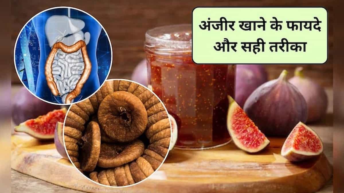 अंजीर खाने के 10 चमत्कारी फायदे; आयुर्वेदाचार्य ने बताया सेवन का सही तरीका, लेकिन साइड इफेक्ट्स से भी रहें सावधान