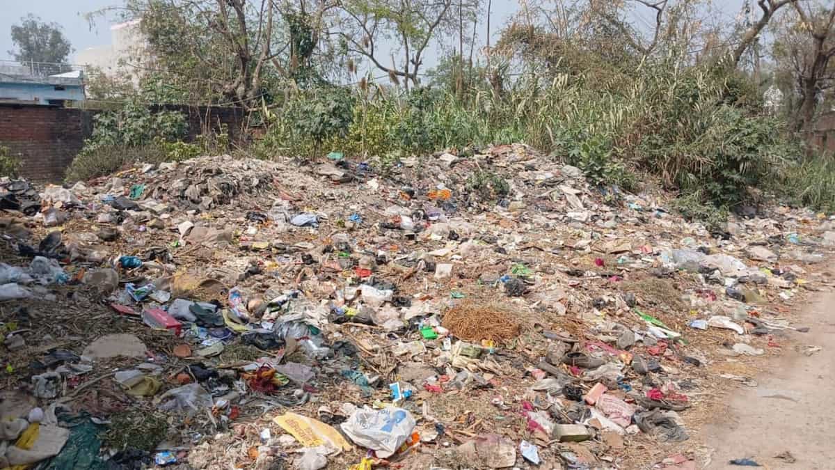 Punjab News: सफाई कर्मचारियों की हड़ताल पर पंजाब-हरियाणा हाईकोर्ट सख्त! मान सरकार को दी हिदायत; जरूरत पड़ने पर 'एस्मा' लगाने का आदेश