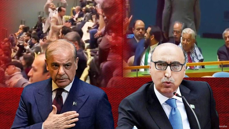 UNGA में 'पाकिस्तान जिंदाबाद' के नारे लगवाने पर घिरे शहबाज शरीफ