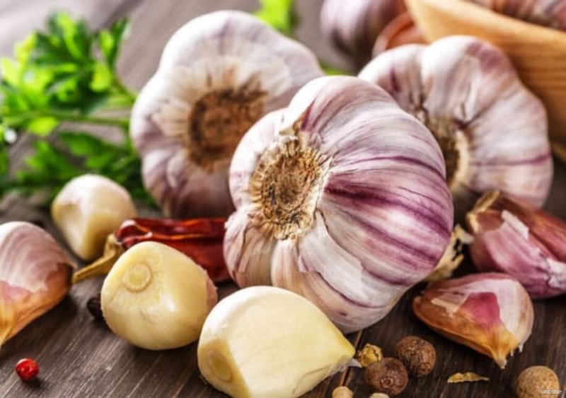 लहसुन की 1-2 कलियां रोज सुबह डाइट में शामिल करने से मिलेंगे गजब के फायदे
